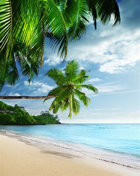 tropical paradise beach hd wallpaper  nexus