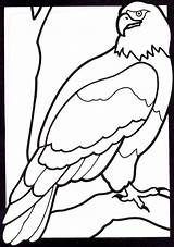 Coloring Pages Eagle Animals Cartoon Kids Animal Bald Color Crayola Cliparts Printable Z31 Clipart Colouring Golden Library Popular Gif Coloringhome sketch template