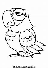 Coloring Bird Parrot Tweety Cartoon Advertisement sketch template