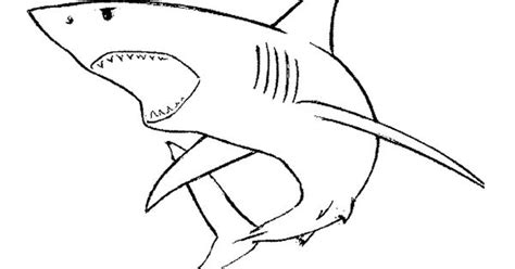 shark  open mouth coloring pages