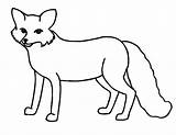 Fox Arctic Coloring Clipart Drawing Color Polar Clipartmag 25kb 1010 Drawings sketch template