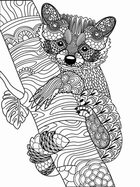 raccoon coloring pages  adults printable   raccoon