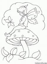 Elf Pilz Duendes Hadas Fate Elfen Fata Cogumelo Mushroom Elfi Colorkid Champignon Fairies Magica Setas Feen Fungo Bacchetta Fadas Blumenwiese sketch template