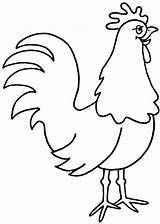 Outline Rooster Coloring Pages Animal Hen Chicken Drawing Drawings Imgkid sketch template