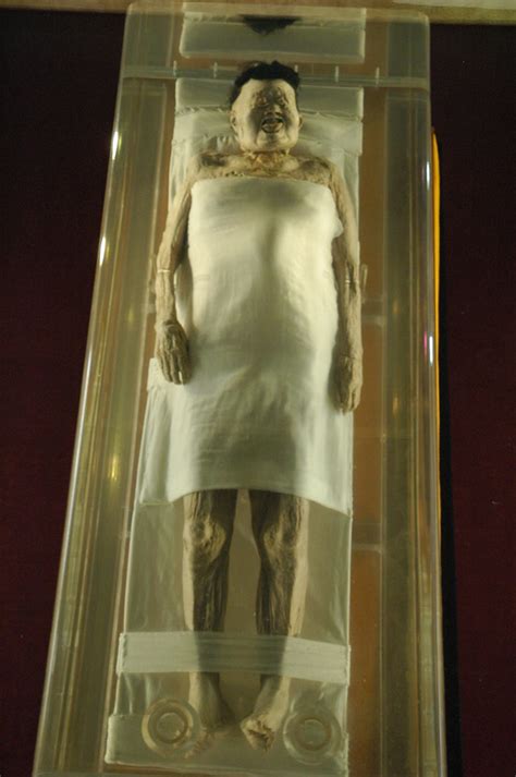mawangdui mummy lady dai   preserved   skin flickr