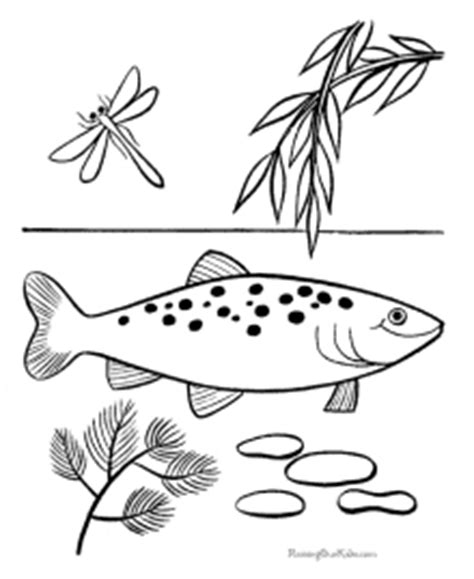 fish coloring sheets  pictures