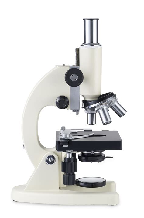 understanding  compound microscope parts   functions