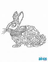 Coloring Rabbit Pages Mandala Colouring Hellokids Adult Cute Choose Board sketch template