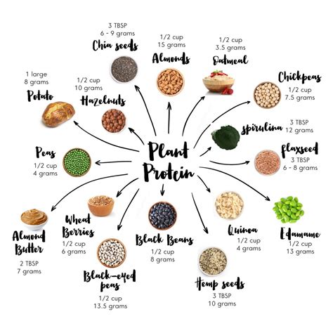 plant protein sources   health  mantra organic