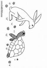 Hare Tortoise Coloring Pages Color Hellokids Giant Print Reptile Online Drawings Popular sketch template