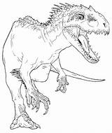Rex Indominus Dinosaurios Dinosaurio K5 Malvorlagen Brachiosaurus sketch template