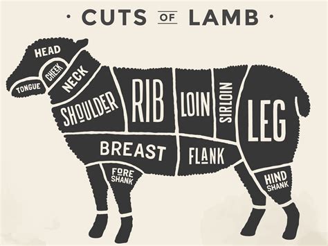 cut  beef set poster butcher diagram  scheme lamb beech ridge hot sex picture
