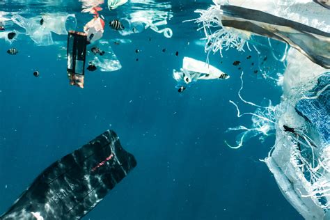 plastik im meer  statistiken und fakten zur verschmutzung der meere