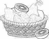 Basket Still Life Fruit Drawing Fruits Vegetables Step Apples Getdrawings Wattled Contours Sweet sketch template