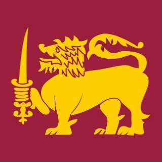 sri lankan travel blog  lion flag