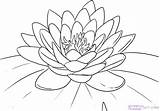 Water Coloring Lily Getcolorings Color Lilies Monet sketch template