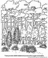 Coloring Pages Arbor Forest Trees Honkingdonkey Holiday sketch template