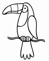 Toucan Coloring Bird Kids Pages Drawing Outline Printable Clipart Sam Sheets Sheet Cliparts Digi Cartoon Tucan Template Stamp Clip Rainforest sketch template