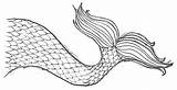 Tail Mermaid Coloring Pages Printable Educativeprintable Ariel sketch template