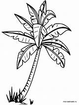 Palm Tree Drawing Coloring Outline Beach Getdrawings Kids Pages Leaves Printable Line Colouring Apple Adult Leaf Clipartmag sketch template