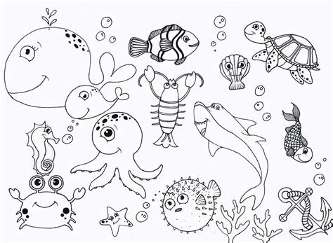 coloring pages  sea animals  fun activity  kids   ages