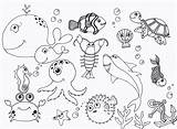 Sea Coloring Pages Under Ocean Printable Animal Print Drawings Animals Kids Sheets Visit Toddlers Preschool Aquatic sketch template