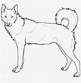 Husky Coloring Pages Siberian Huskies Dogs Showy Pngkey Popular Jing Fm sketch template