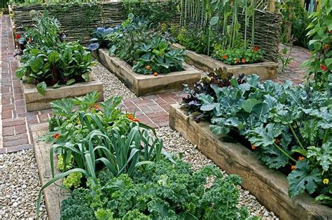 incredible vegetable garden ideas green  vibrant