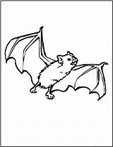 Coloring Bat Pages Printable Kids Bats Sheets Bestcoloringpagesforkids Animal Animals sketch template