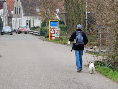 walk   grote rivierenpad wandelen van barendrecht  rijsoord