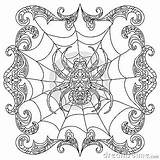 Zentangle Spinne Farbtonseite Geeksvgs Istockphoto sketch template