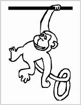 Alphabet Coloring Monkey Pages Fun sketch template