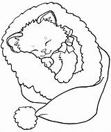 Coloring Pages Kitten Christmas Printable Cute Puppy Sheets sketch template
