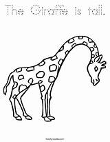 Coloring Giraffe Tall Favorites Login Add sketch template