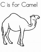 Camel Coloring Pages Kids Preschool Kindergarten Colouring Print Drawing Printable Animals Craft Students Camels Color Line Preschoolcrafts Cute Getdrawings Online sketch template
