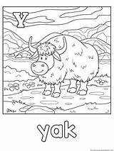 Coloring Animal Alphabet Yak Printables Zebra Letter Along Each Features Fun Go sketch template