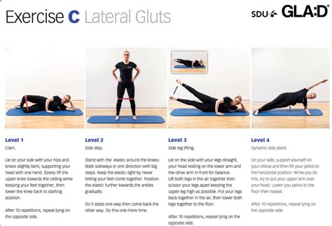 exercise     exercises   lateral buttocks