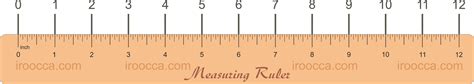 inches ruler
