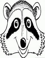 Raccoon 123coloringpages Animal sketch template