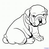 Bulldog Coloring Pages Georgia English sketch template