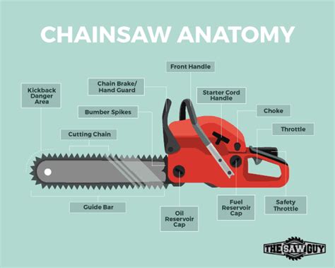 chainsaw   complete buying guide reviews