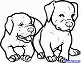 Pitbull Pitbulls Rottweiler Coloringhome Sheets Clipartmag Bulls Birijus Justcoloringbook sketch template