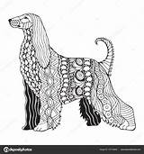 Levriero Colorare Cani Stylized Hound Afghan sketch template