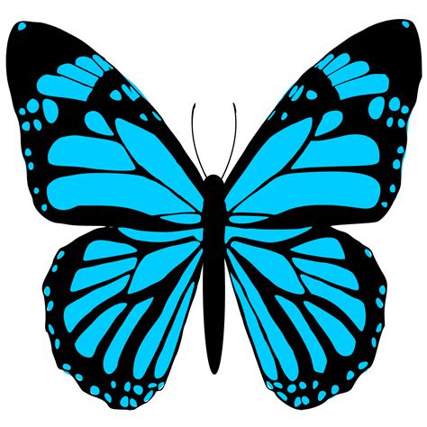 light blue butterfly  png