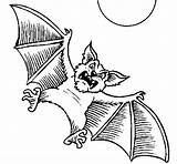 Bat Dog Coloring Halloween Coloringcrew sketch template
