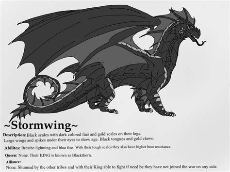 Wings Of Fire Stormwing Profile Fan Made Tribe By
