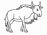 Wildebeest Drawing Draw Getdrawings sketch template