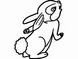 Rabbit Dxf  3axis Vector sketch template