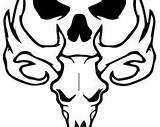 Bone Collector Skull Deer Coloring Template Pages sketch template