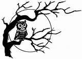 Tree Dead Twisted Owl Template sketch template